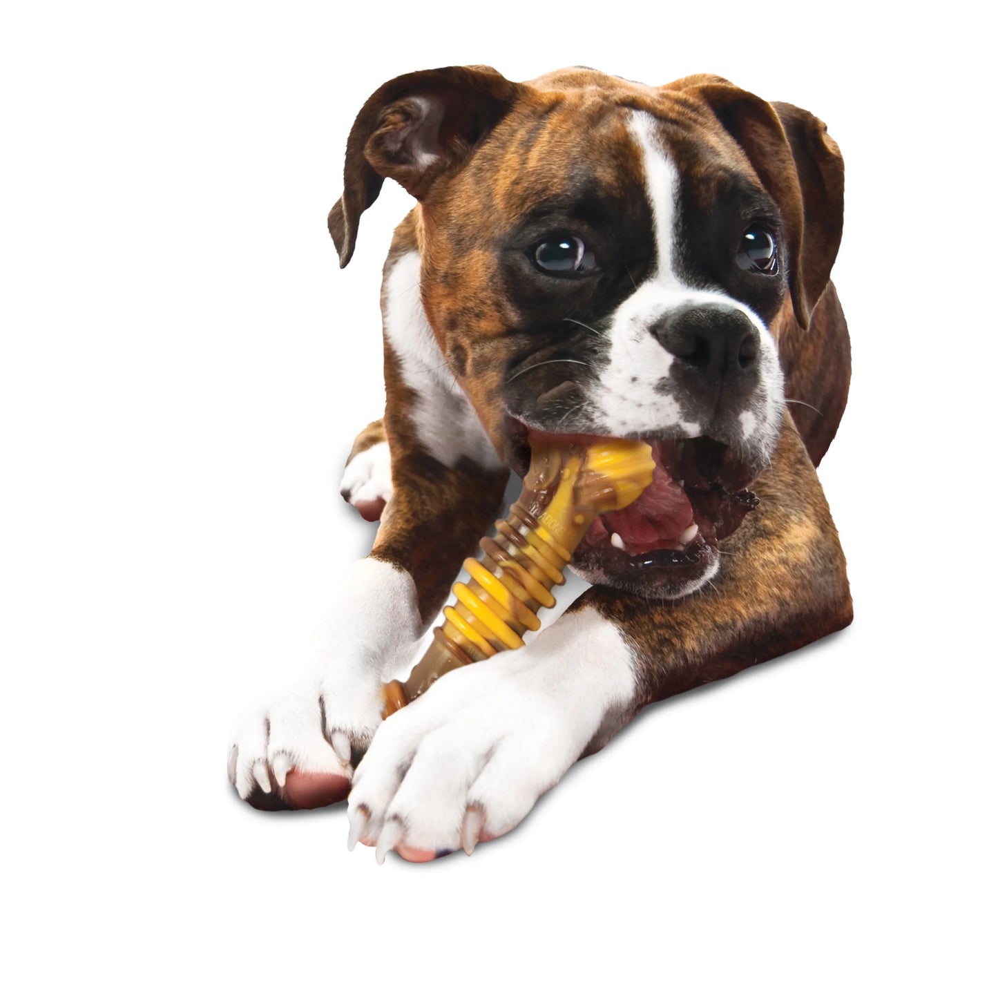 Power Chew Dental Bone Chew Toy Philly Cheesesteak X-Large (1 Count)