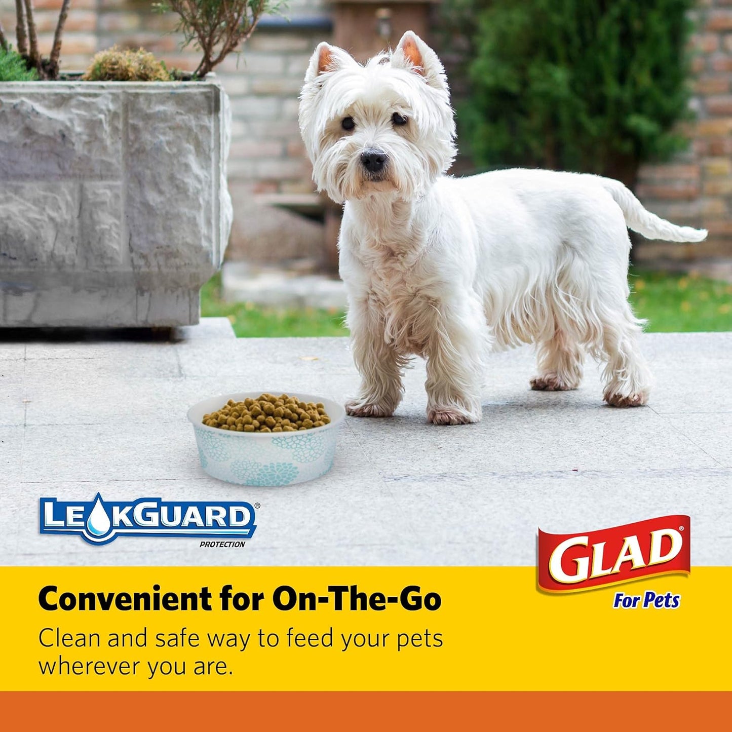 Glad Pets Disposable Small Dog Bowls, Teal Pattern, 1.75 Cup Feeding Size, 25 Count - Leakproof and Dishwasher Safe