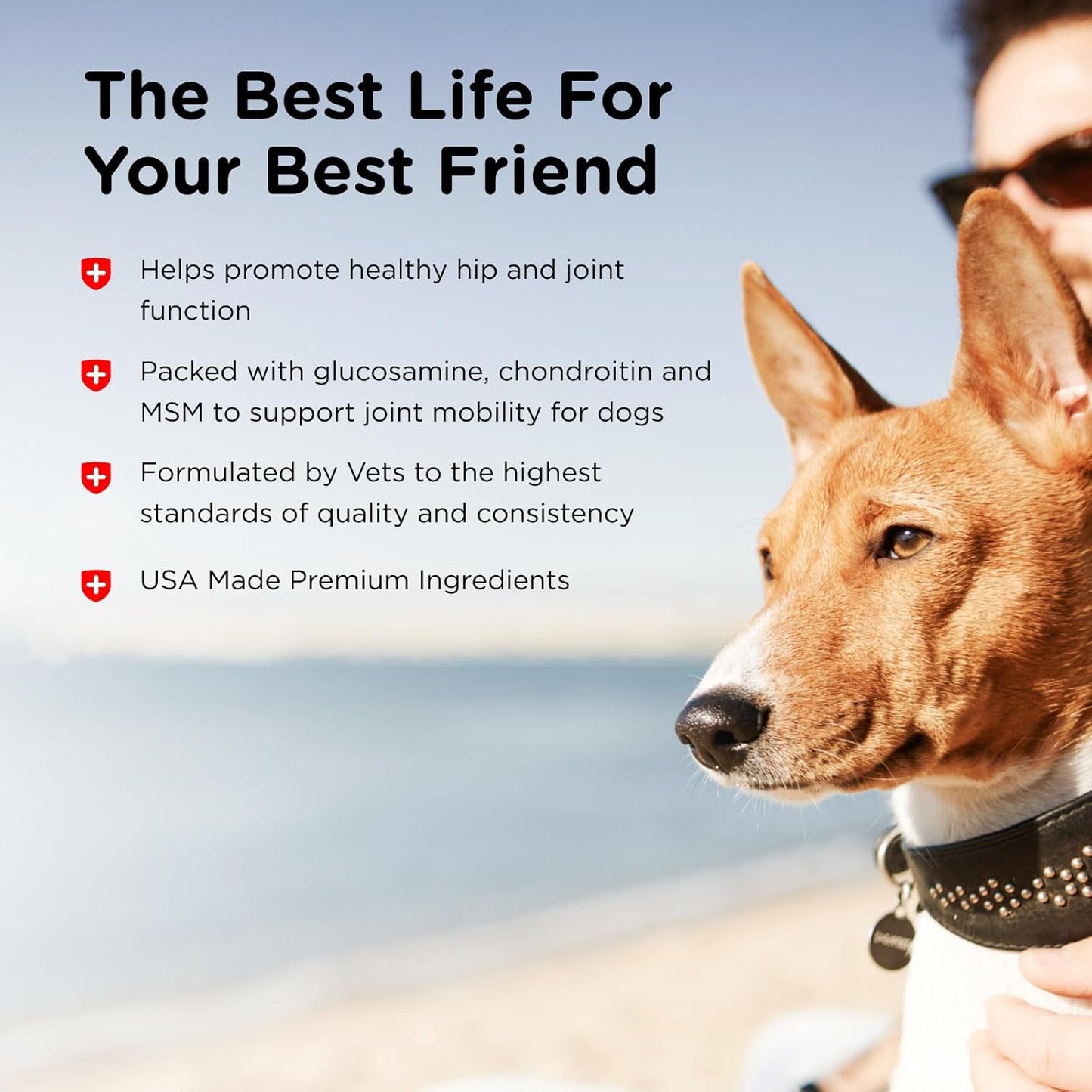 Nutri-Vet Advanced Strength Hip & Joint Chewable Dog Supplements - Formulated with Glucosamine & Chondroitin to Support Dog Cartilage & Mobility - 300 Tablets