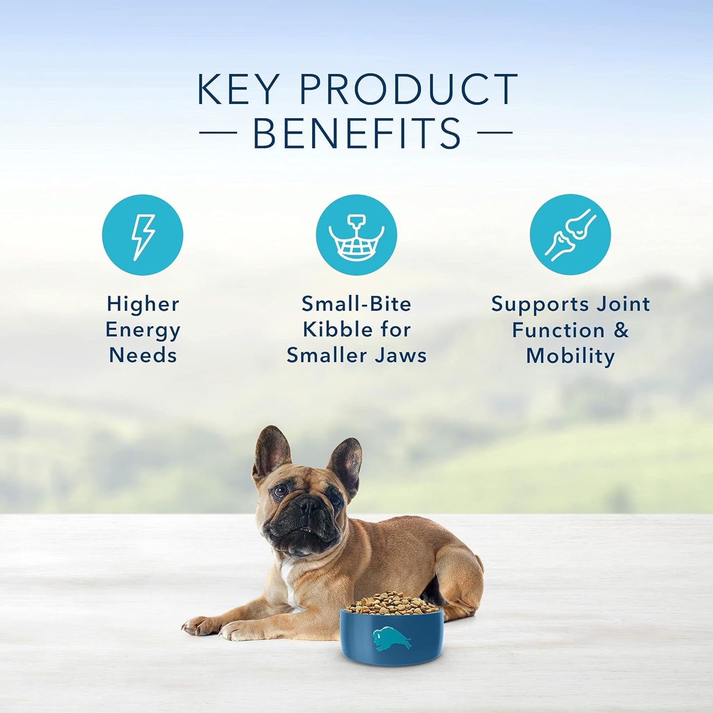 Blue Buffalo Life Protection Formula Natural Adult Small Breed Dry Dog Food, Chicken and Brown Rice 6-Lb