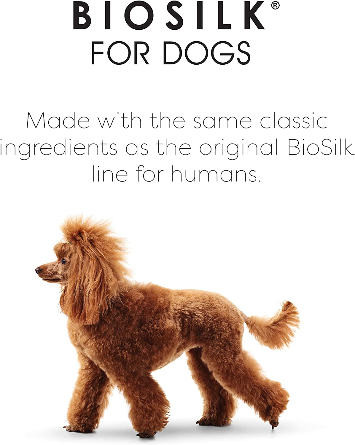 Biosilk for Dogs Silk Therapy Conditioner with Natural Coconut Oil | Coconut Oil Dog Conditioner from Biosilk for Dogs | Pet Conditioner for Dogs, 12 Ounces,Beige