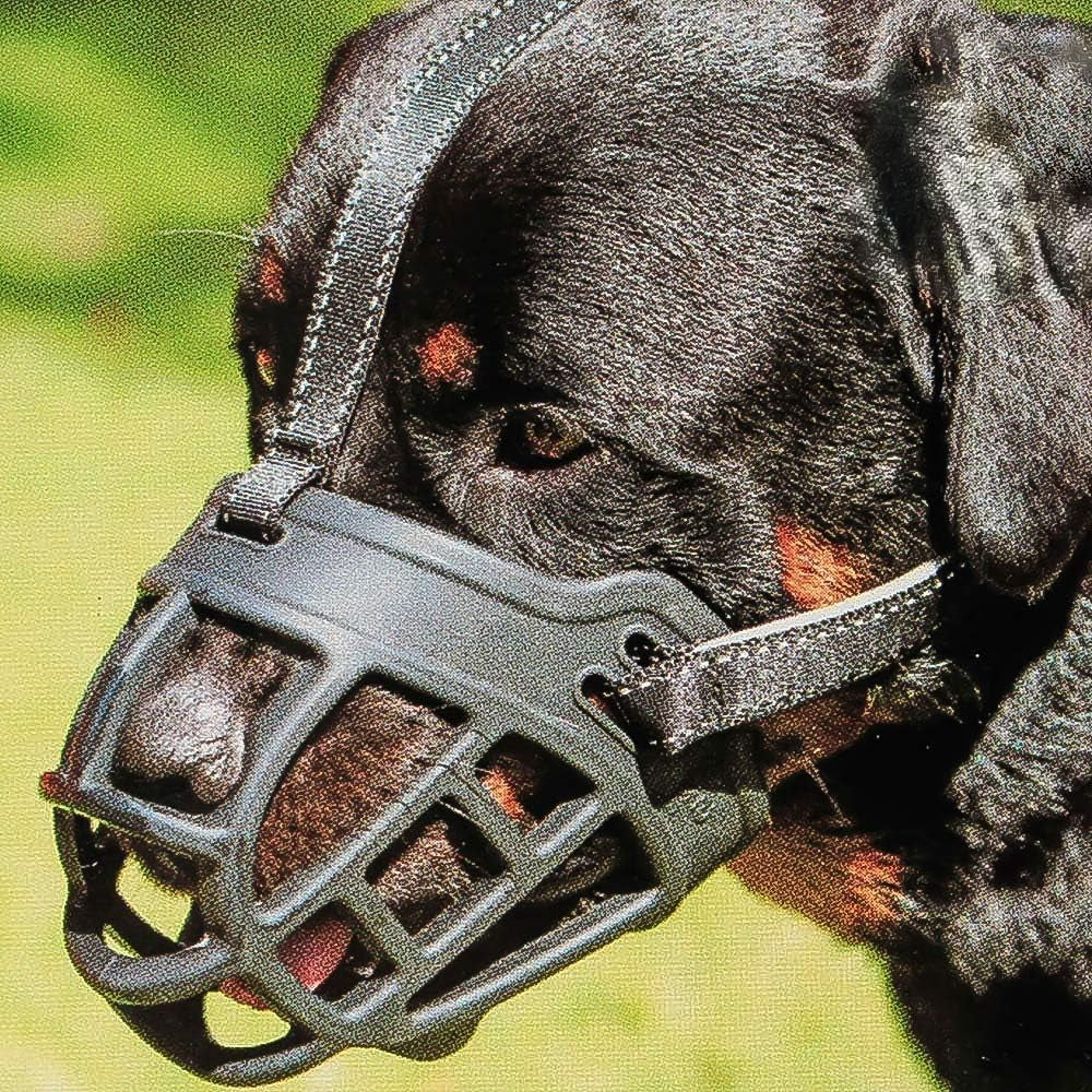 BARKLESS Dog Muzzle, Soft Basket Silicone Muzzle for Dogs, Best to Prevent Biting and Chewing, Breathable Cage Mouth Cover for Training, Allows Drinking and Panting, Used with Collar