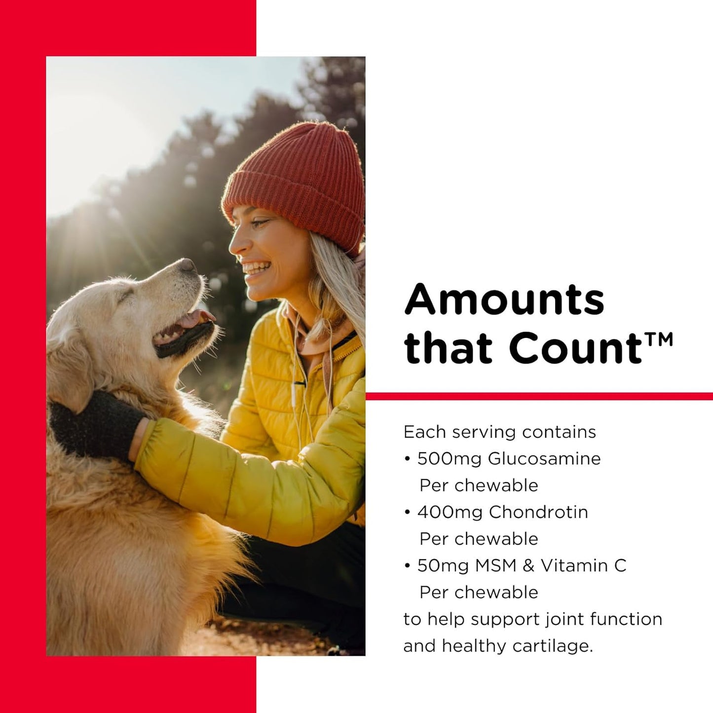 Nutri-Vet Advanced Strength Hip & Joint Chewable Dog Supplements - Formulated with Glucosamine & Chondroitin to Support Dog Cartilage & Mobility - 300 Tablets