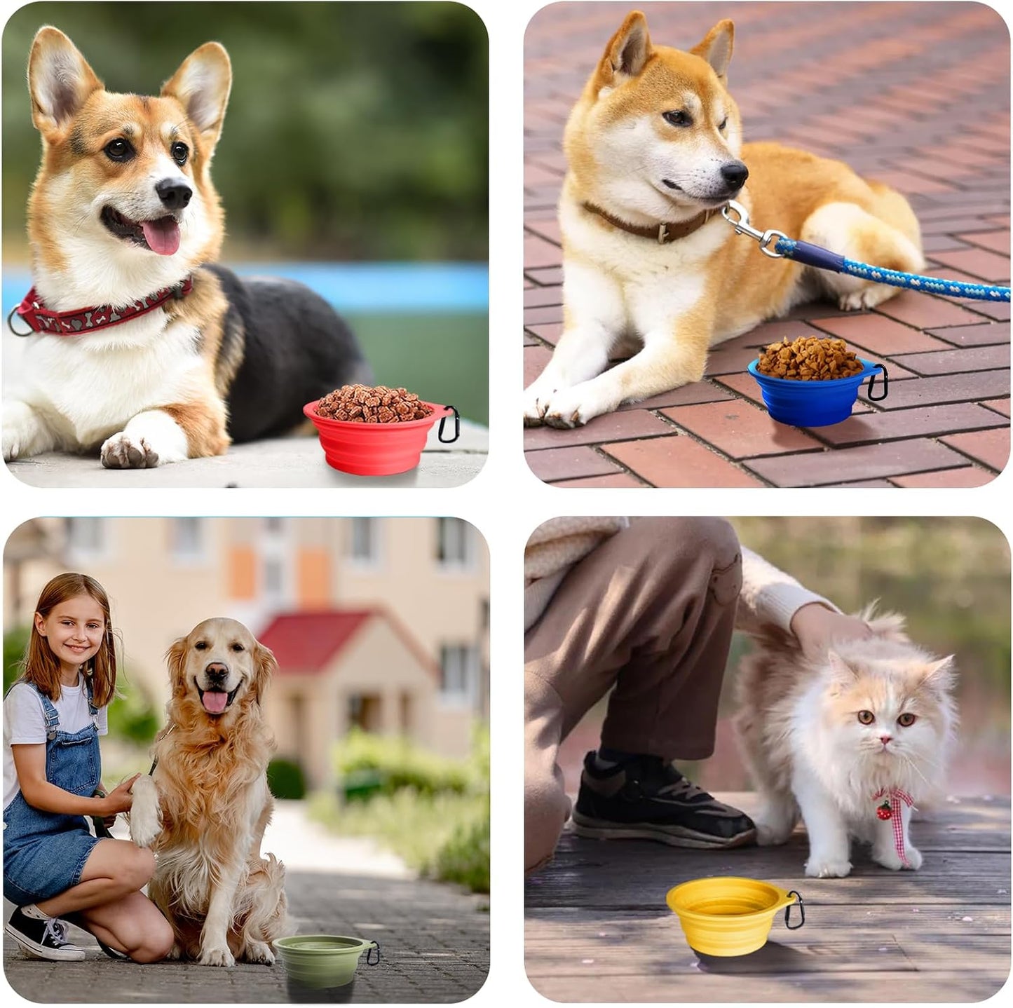 Petbonus 2-Pack Silicone Collapsible Dog Bowls, BPA Free Dishwasher Safe, Portable Foldable Expandable Travel Bowl, Food Water Feeding Cup Dish for Dogs Cats with 2 Carabiners (Army Green, Blue)