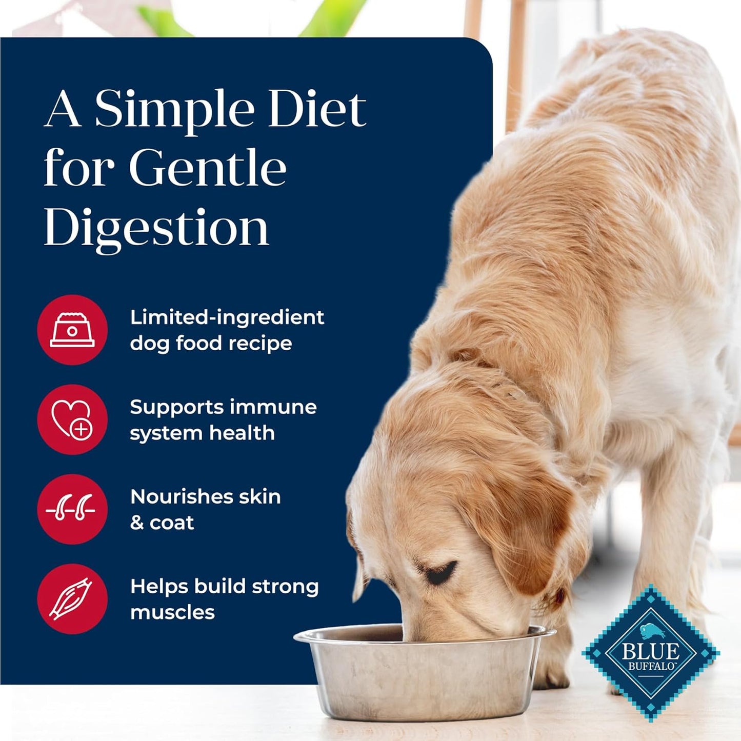 Blue Buffalo Basics Grain-Free Dry Dog Food for Adult Dogs, Limited Ingredient Diet, Salmon Recipe, 22-Lb. Bag