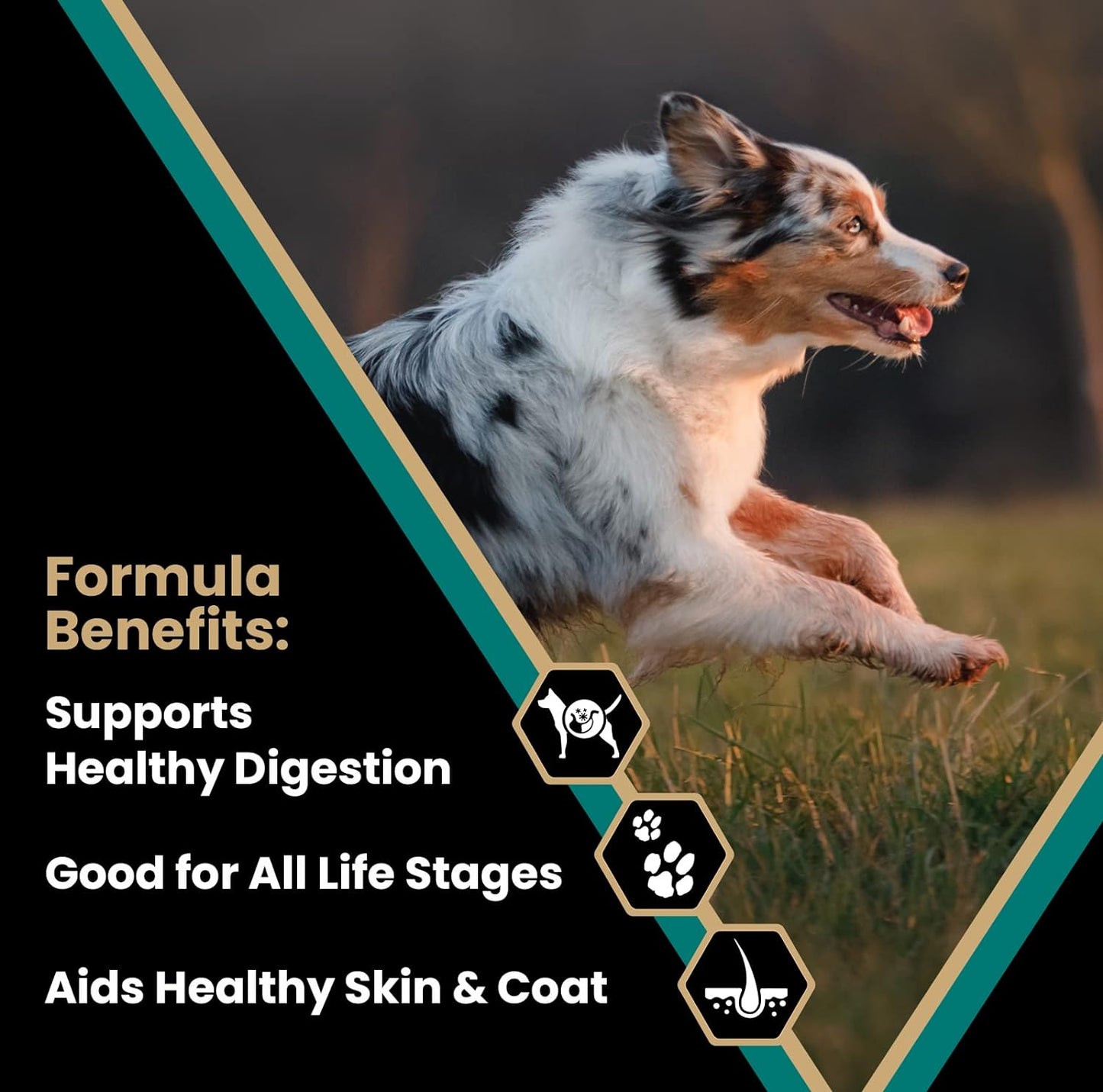 VICTOR Super Premium Dog Food – Select Ocean Fish Formula with Salmon – Omega-3 and Omega-6 Enriched Gluten-Free Dry Kibble for All Normally Active Dogs of All Life Stages, 5Lbs