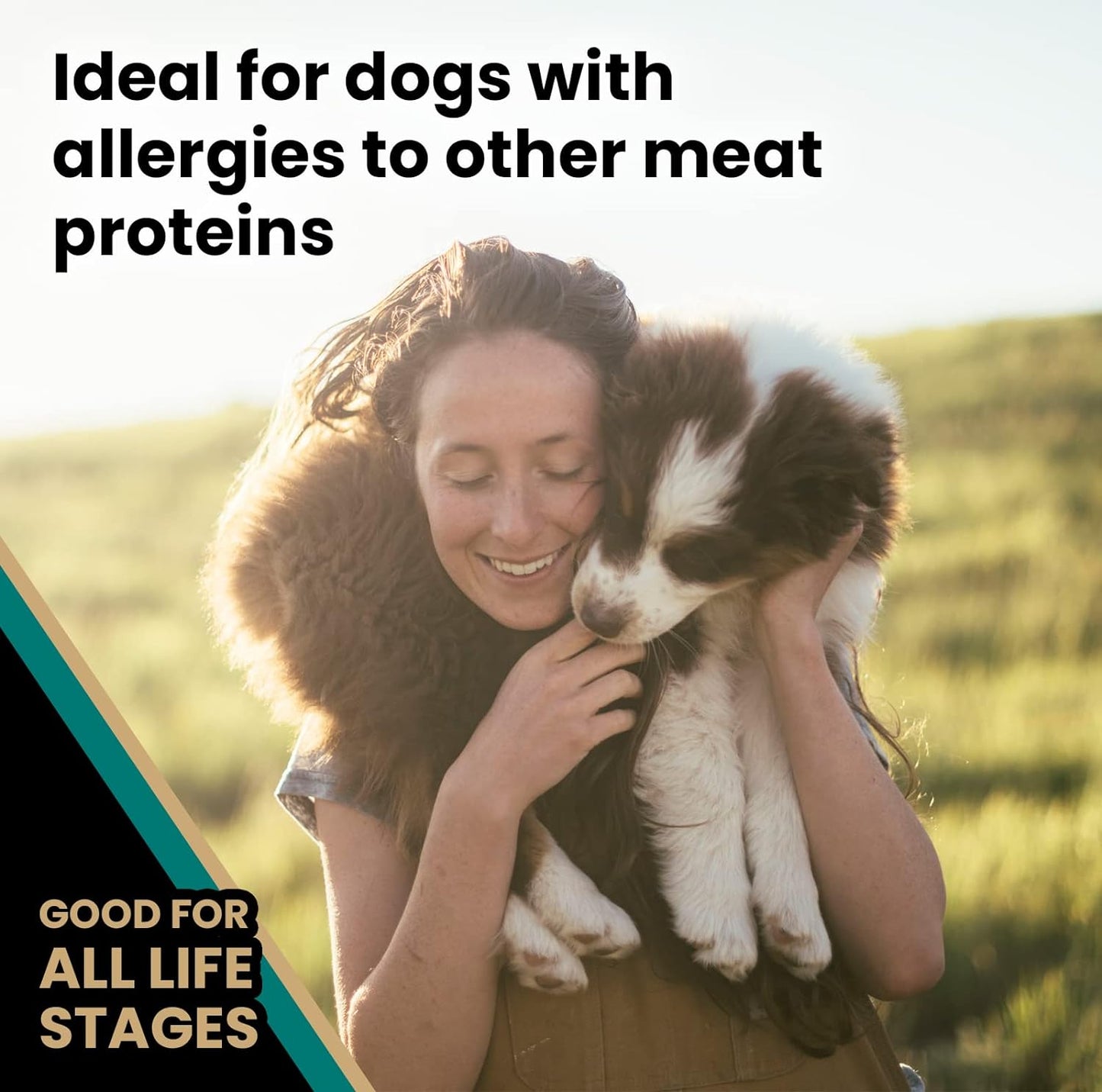 VICTOR Super Premium Dog Food – Select Ocean Fish Formula with Salmon – Omega-3 and Omega-6 Enriched Gluten-Free Dry Kibble for All Normally Active Dogs of All Life Stages, 5Lbs