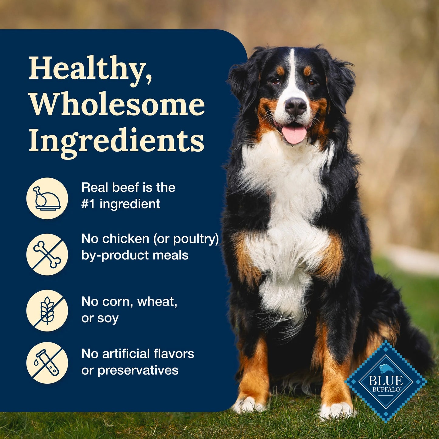 Delectables Natural Wet Dog Food Toppers, Hearty Beef, 3-Oz Pouch