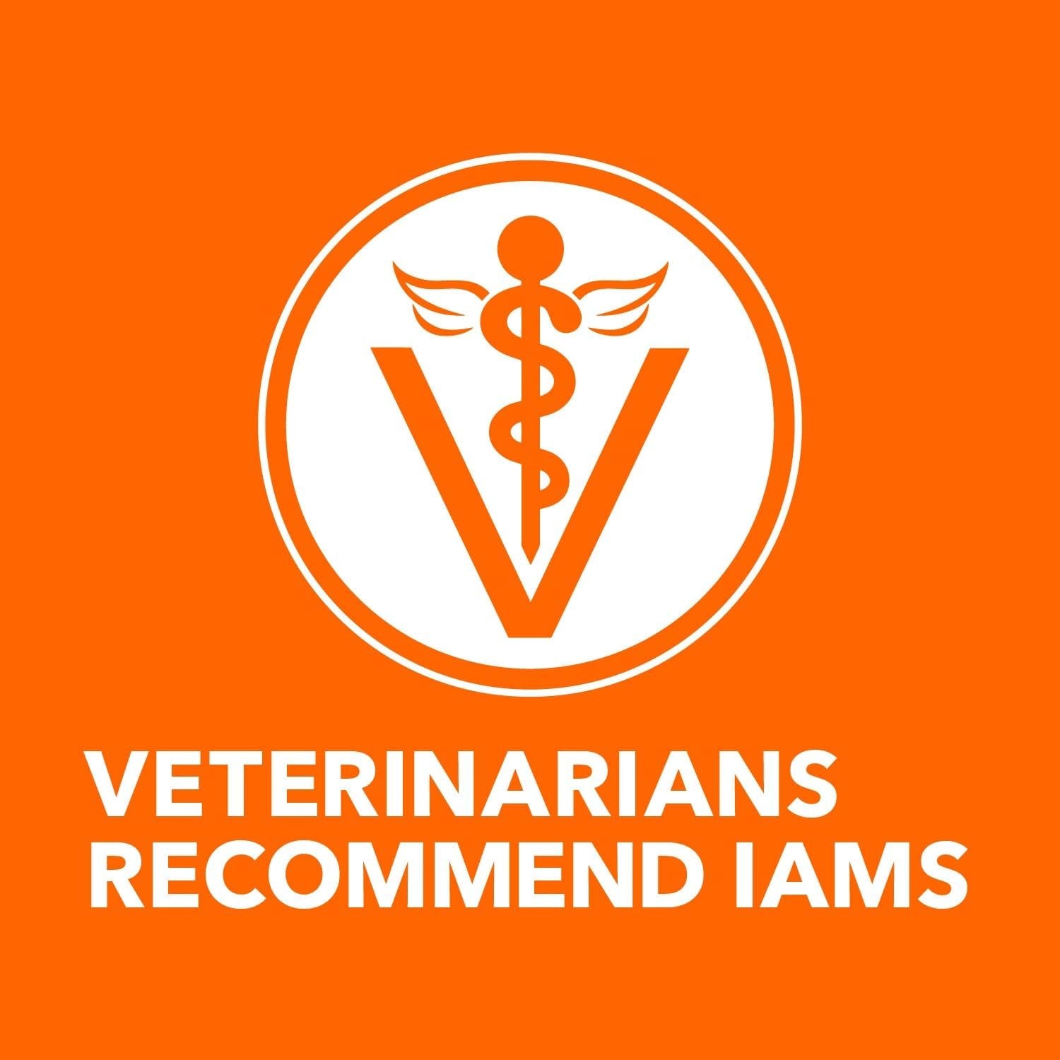 IAMS Proactive Health Adult Healthy Dry Cat Food with Salmon, 7 Lb. Bag