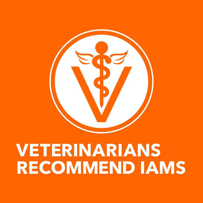 IAMS Proactive Health Adult Healthy Dry Cat Food with Salmon, 7 Lb. Bag