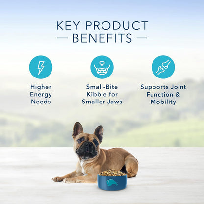Blue Buffalo Life Protection Formula Natural Adult Small Breed Dry Dog Food, Chicken and Brown Rice 6-Lb