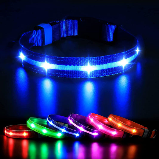 MASBRILL Led Dog Collar-Rechargeable Light up Dog Collars Water-Resistant Lighted Dog Collar Flashing Glowing Dog Collar Night Walking Collar for Dogs M(19.69 * 0.98Inch)