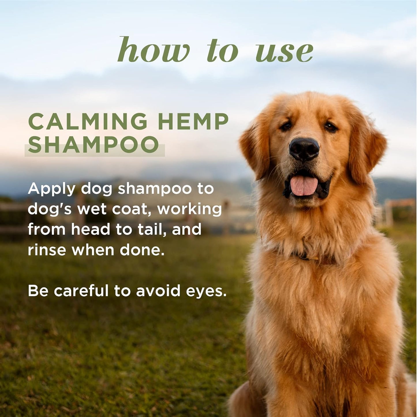 Burt'S Bees for Pets Calming Dog Shampoo with Hemp Seed Oil and Lavender - 95% Natural Origin Formula, Gentle and Best for Dogs, 16 Oz