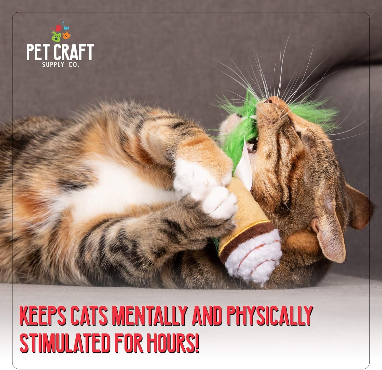 Pet Craft Supply Silly Snacks and Funny Food Crinkle Cuddling Catnip and Silvervine Interactive Cat Toys - Great for Indoor Cats, Kittens or Medium Breeds