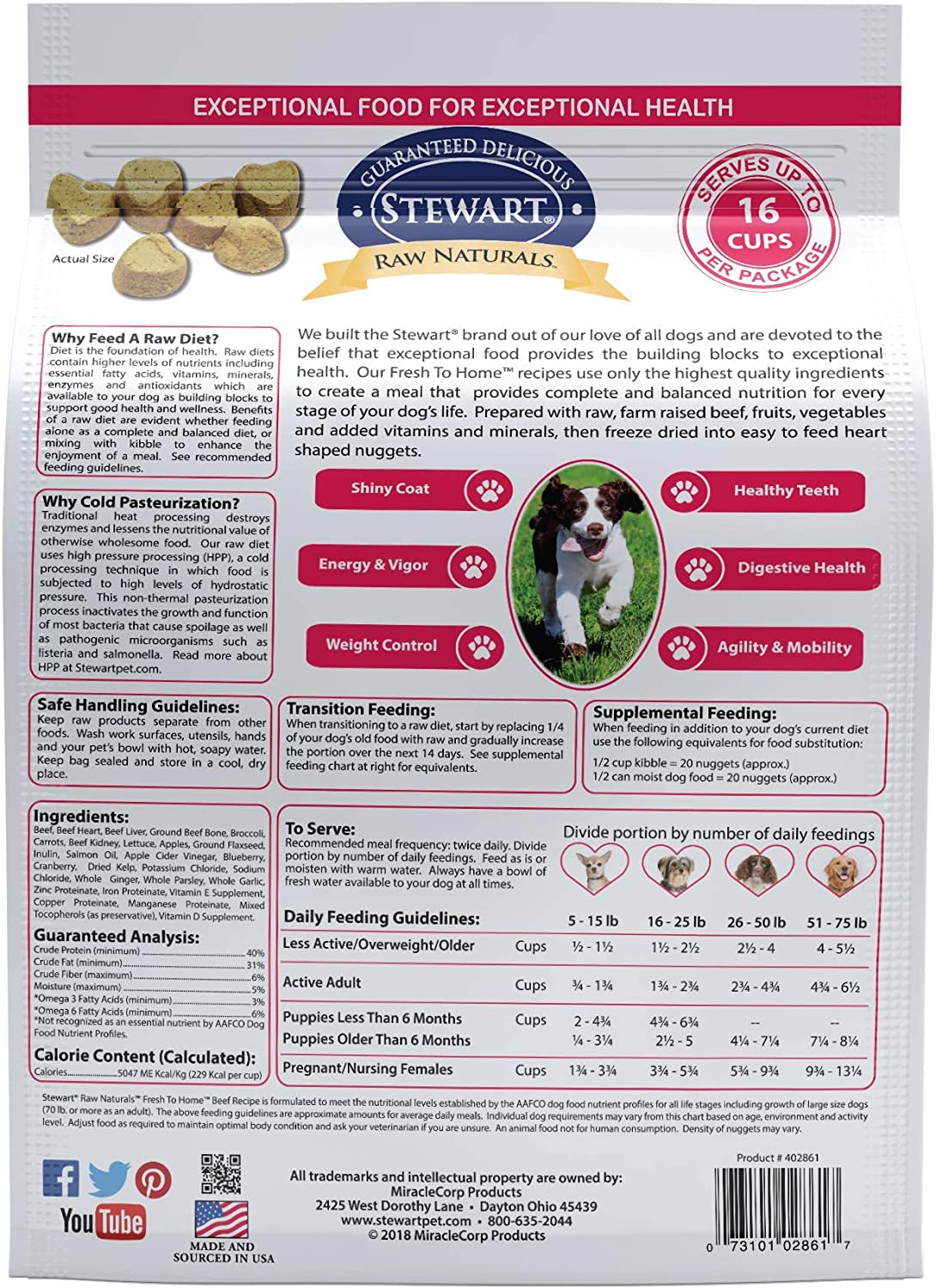 Stewart Raw Naturals Freeze Dried Dog Food Grain Free Made in USA with Beef, Fruits, & Vegetables for Fresh to Home All Natural Recipe, 24 Oz.